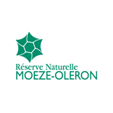 logo-moeze-oleron